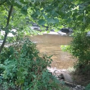 Meet your Posher, Missy